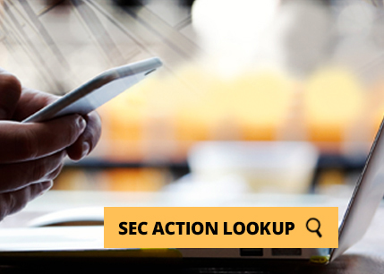 SEC action lookup button
