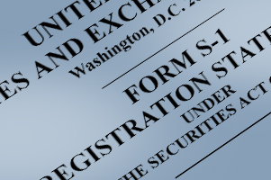 public registration statement image