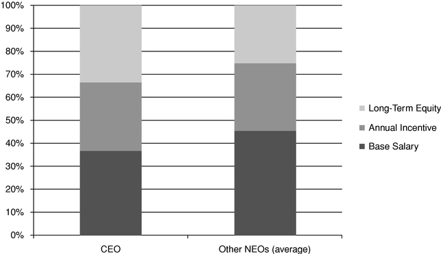 ceo stock options and equity risk incentives