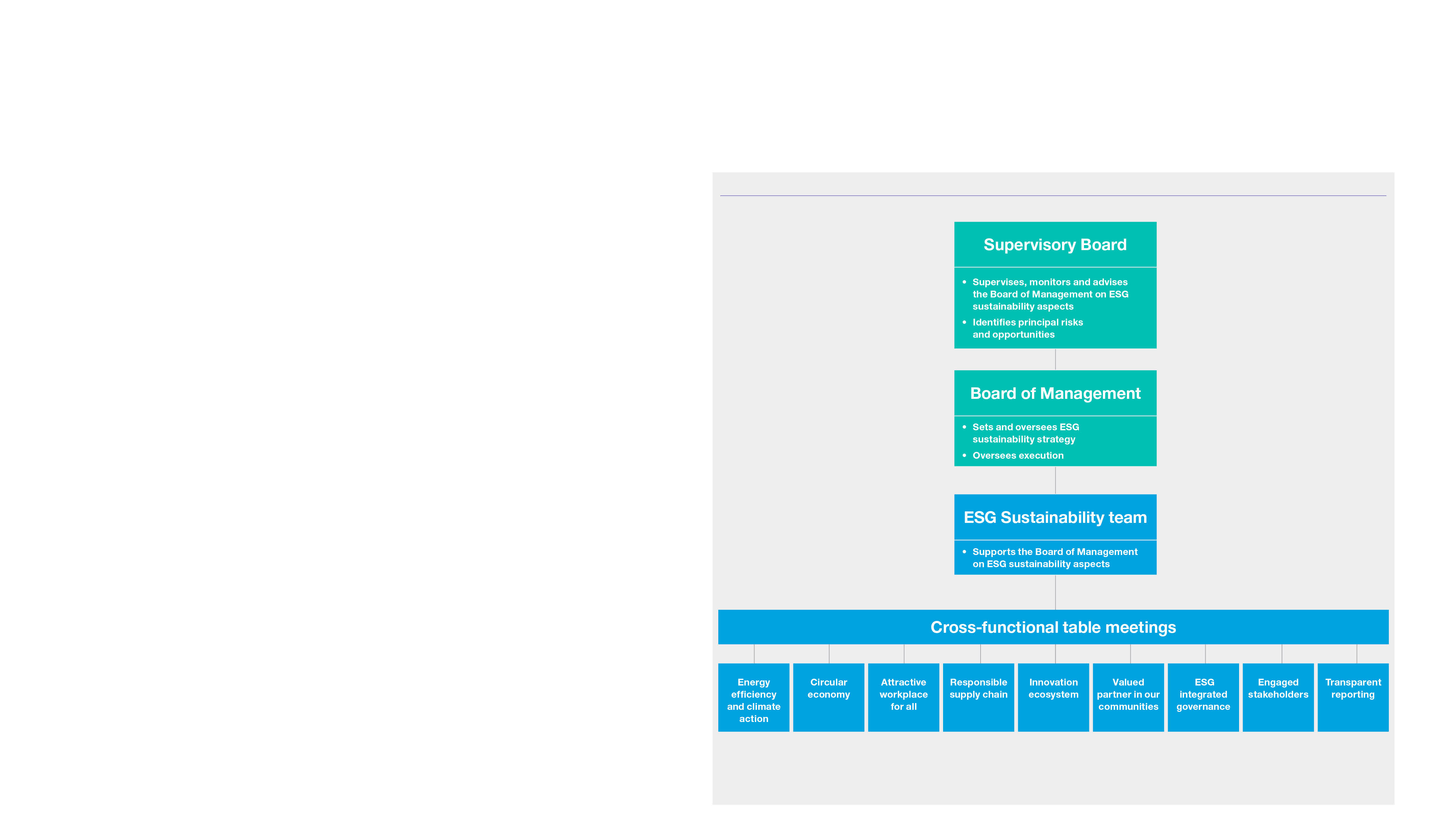 New_ESG_GovernanceModel_Diagram_260124.jpg