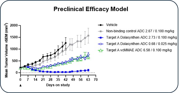 Preclin Efficacy Model 2.jpg