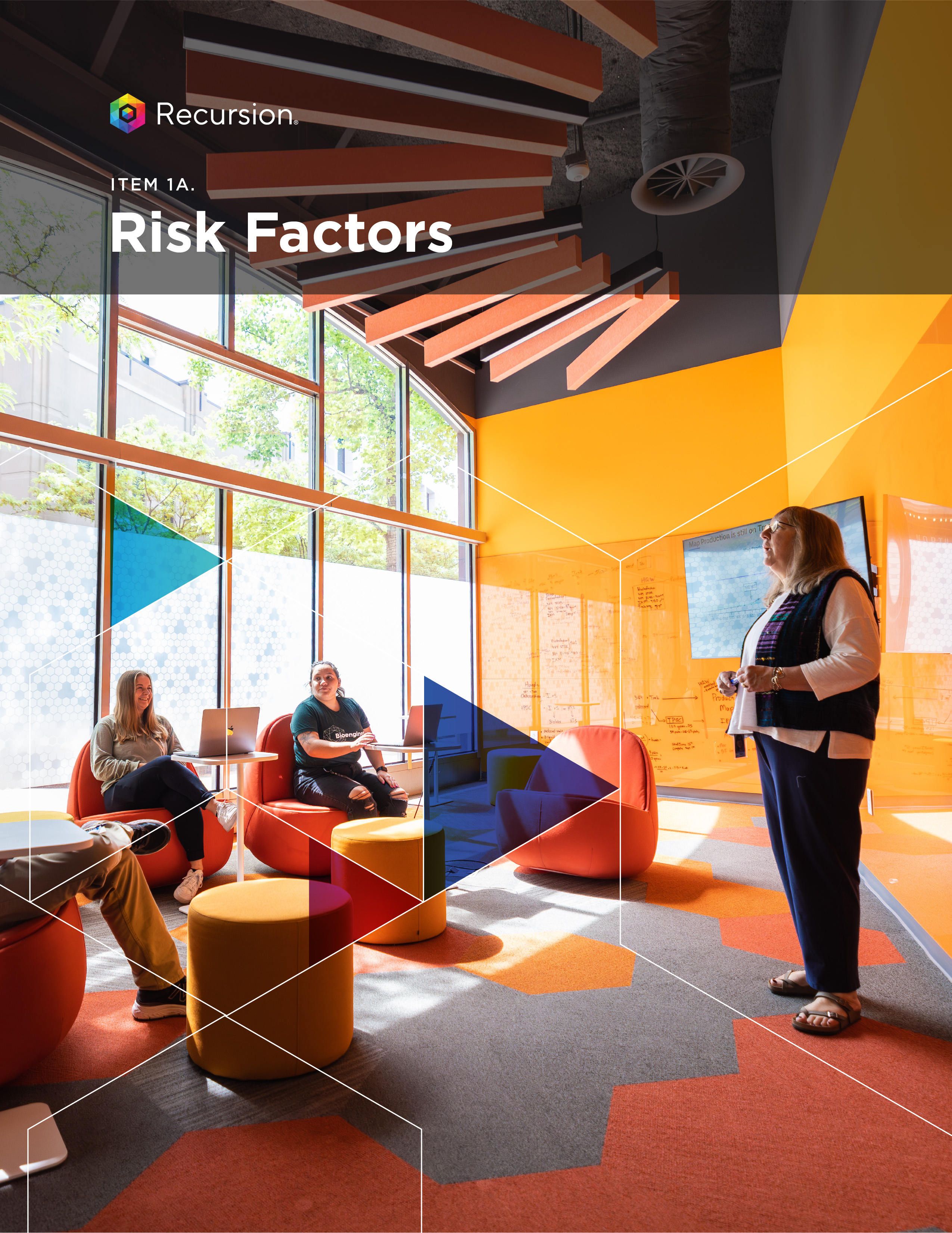 section_risk factors.jpg