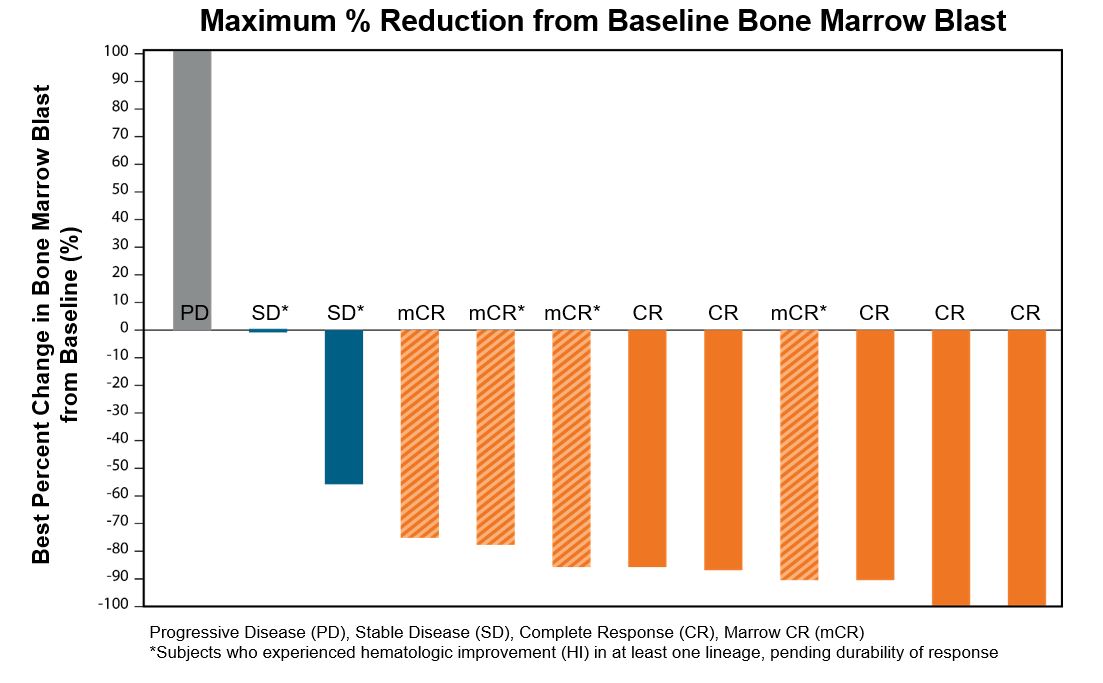 Bone Marrow Blast Reductions in HR-MDS Patients.jpg