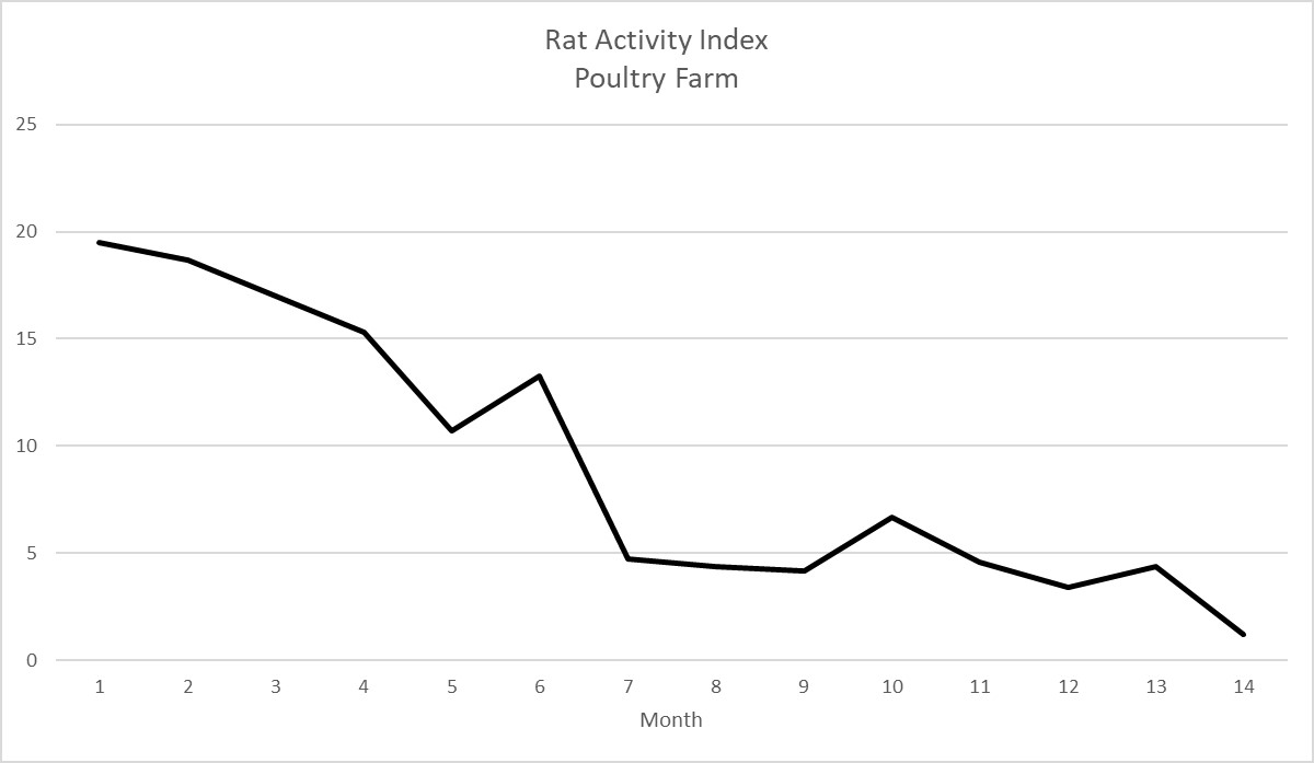Rat Activity Image 2.jpg