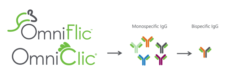 OmniFlic TM and OmniClic R Monospecific + Bispecific.gif