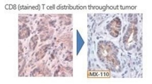 A comparison of cells with a blue arrow

Description automatically generated