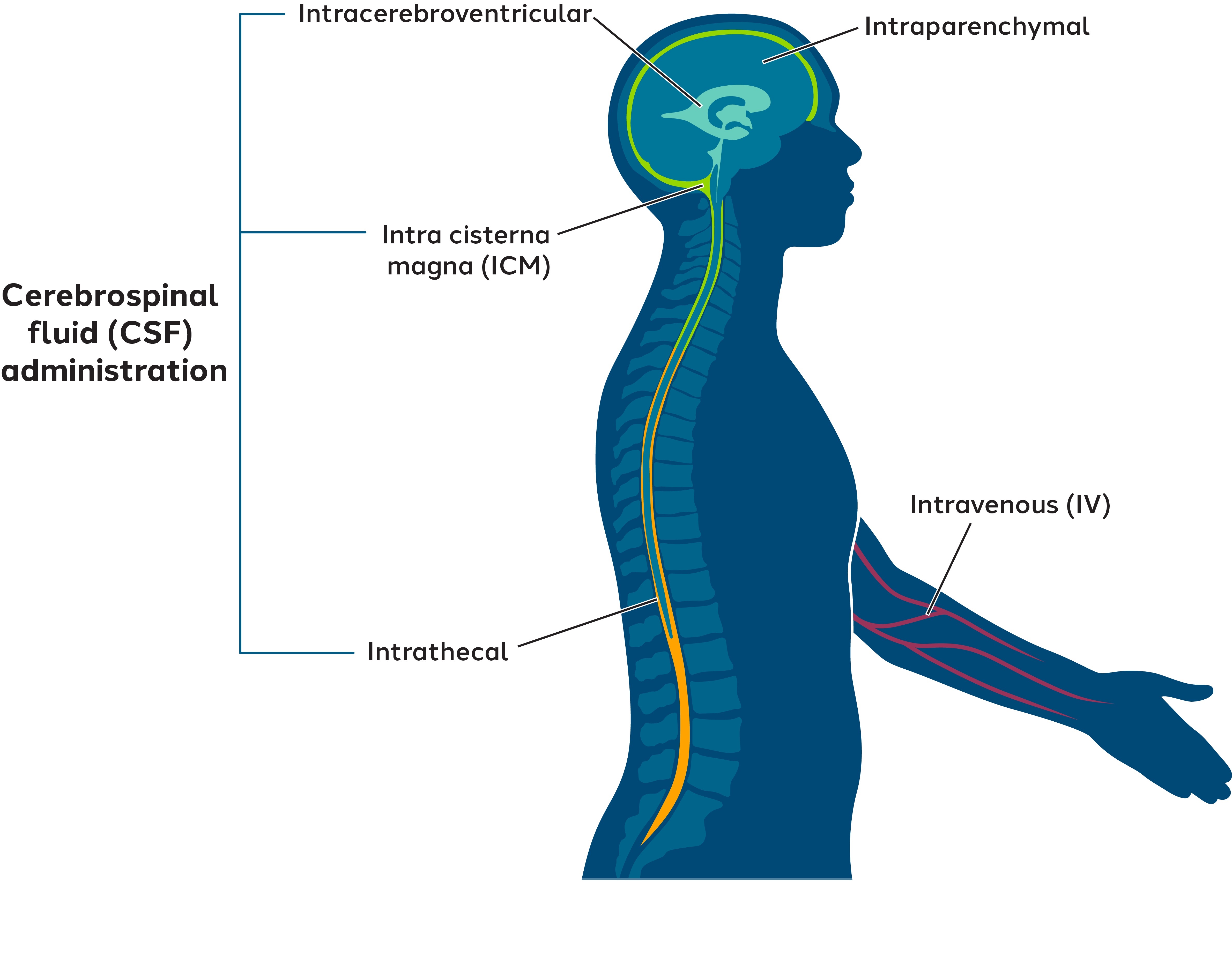 Our Technology Figure 6.jpg