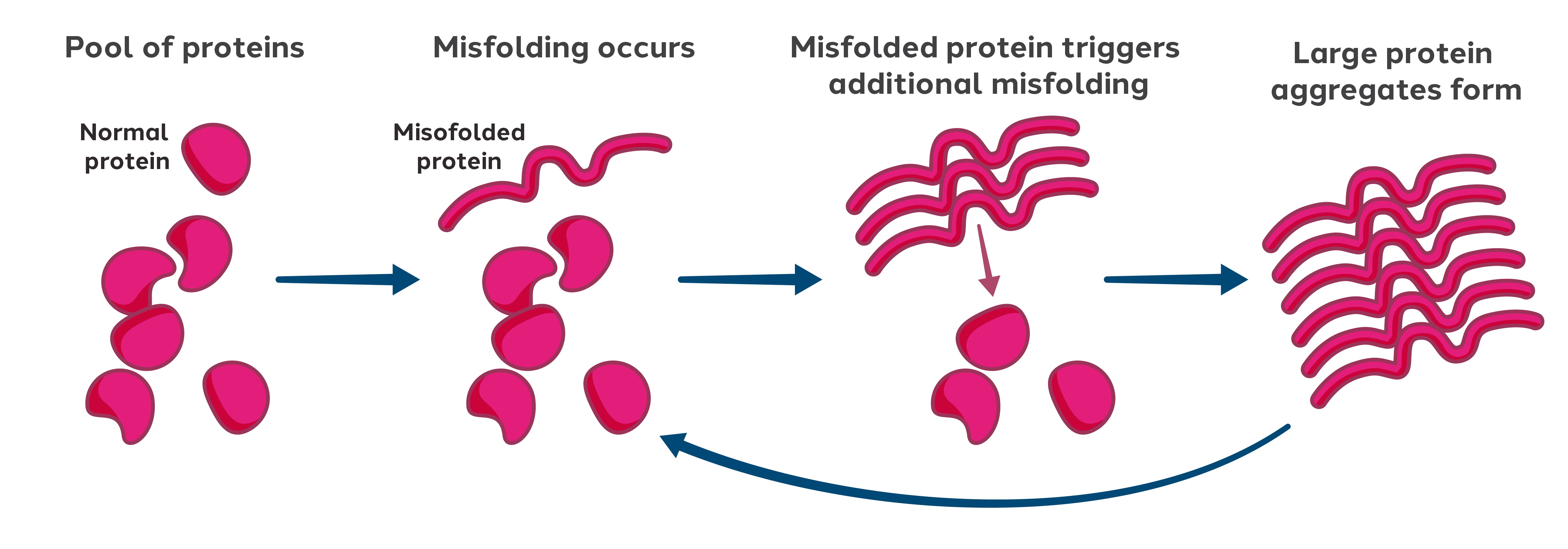 Proprietary programs - Prion.jpg