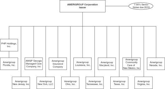 amerigroup org chart