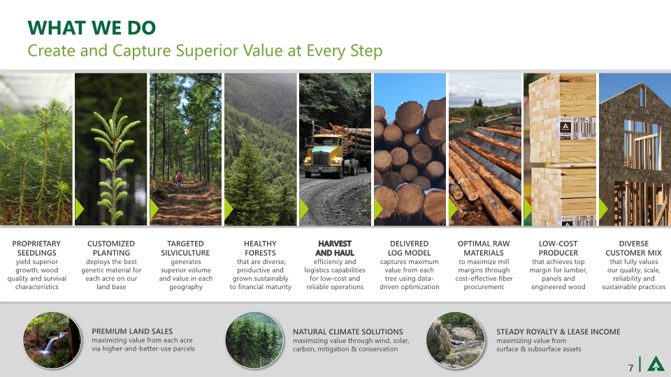 Slide 7