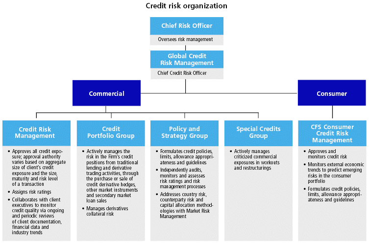 (CREDIT RISK ORGANIZATION FLOW CHART)