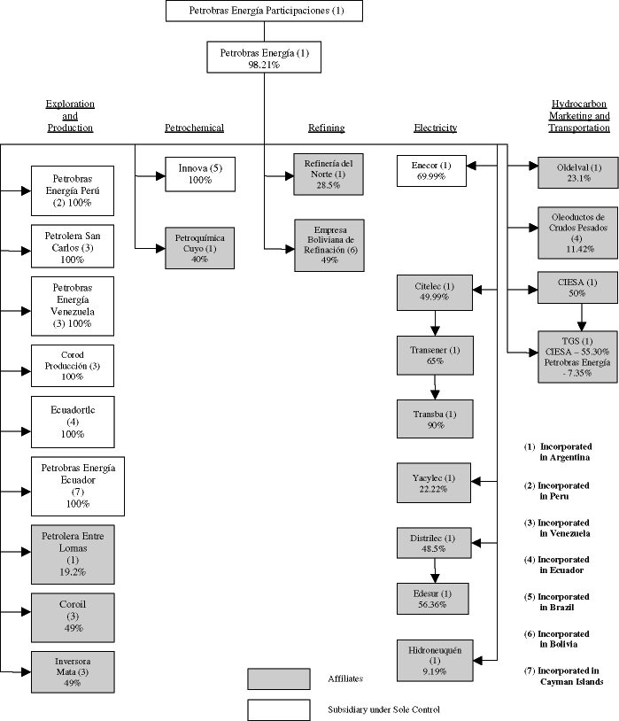 Petrobras Organization Chart