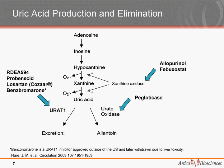 does allopurinol increase uric acid
