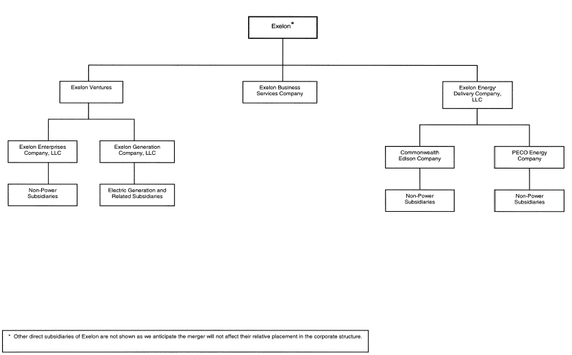 Pseg Organization Chart