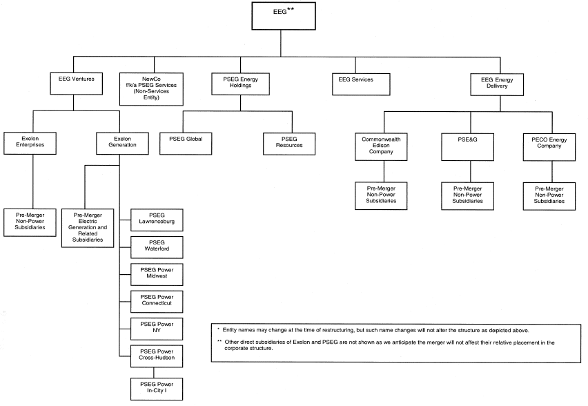 Peco Organizational Chart