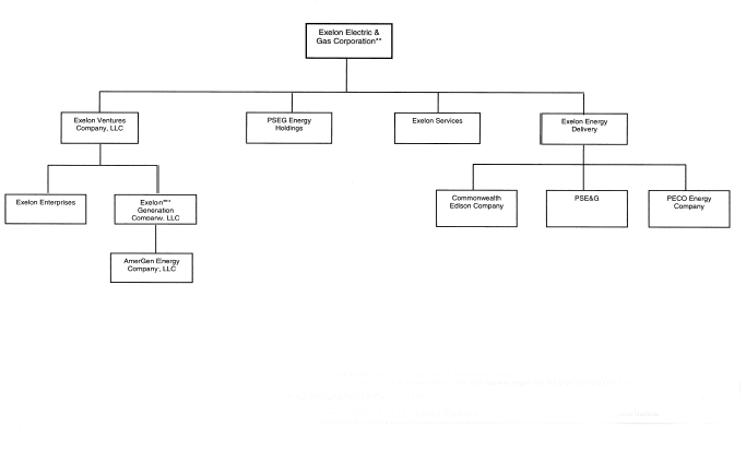 Pseg Organization Chart