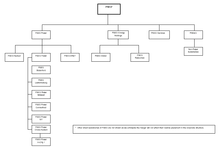 Pseg Organization Chart