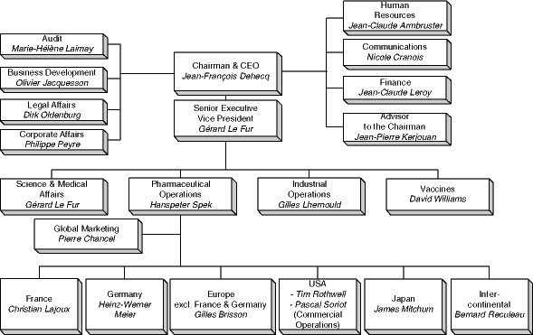 Sanofi Organizational Chart