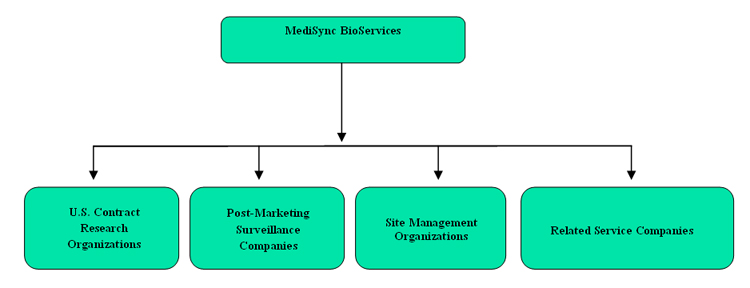 Becton Dickinson Organizational Chart