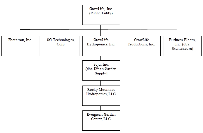 Avon Organizational Chart