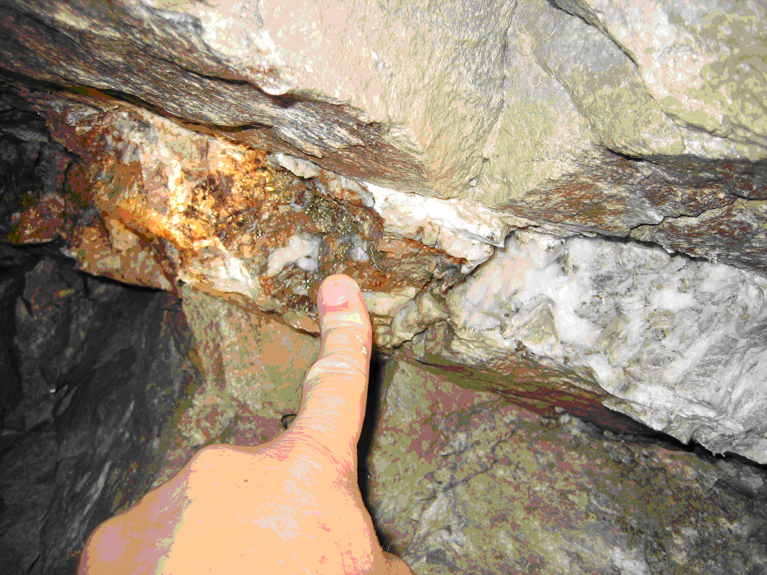 Gold and quartz (Main Ledge, 3050 Level, Homestake Mine, Lead, Black Hills, Sout