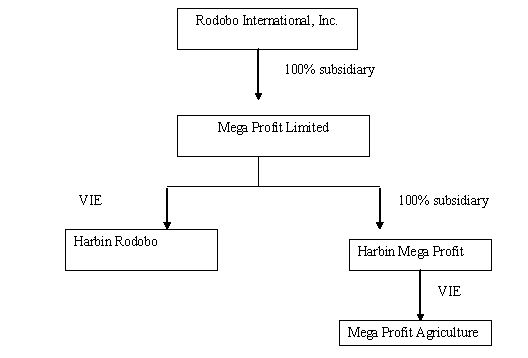 Entity Organizational Chart