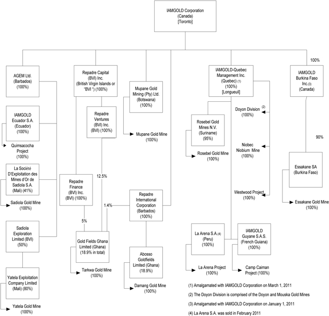 Gold Org Chart