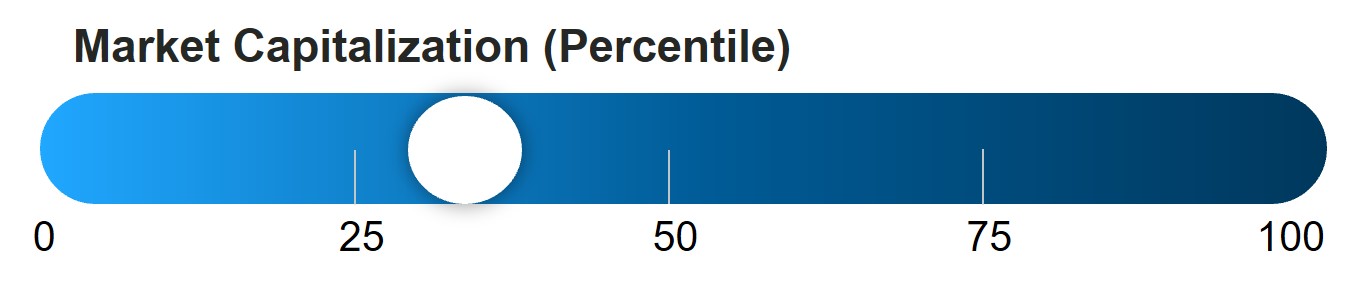 2023 Peer Group - Market Cap Percentile.jpg