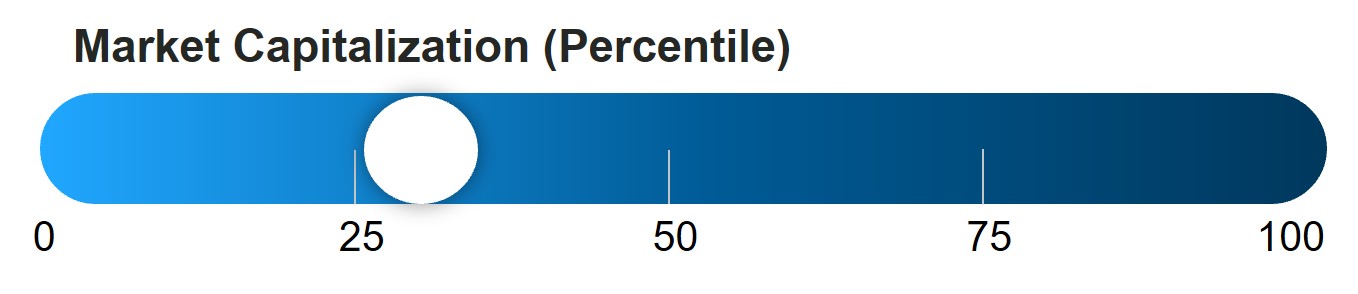2024 Peer Group - Market Cap Percentile.jpg