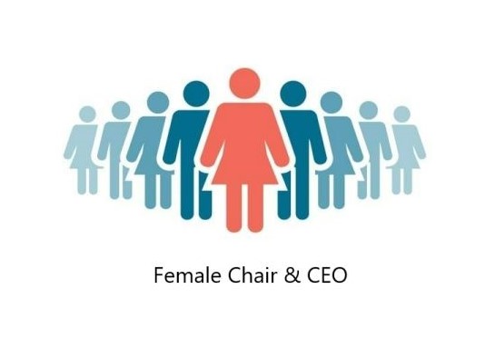 Female Chair and CEO.jpg