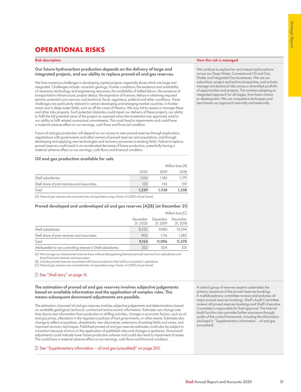 Shell Portfolio Examples