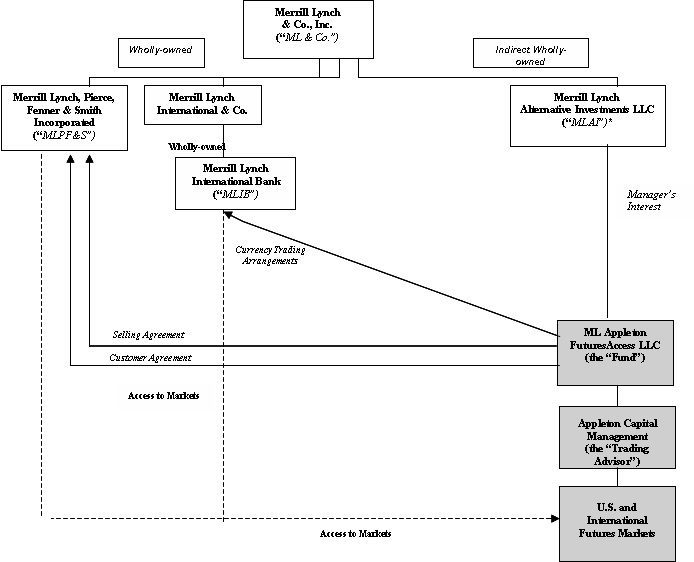 Merrill Lynch Organizational Chart