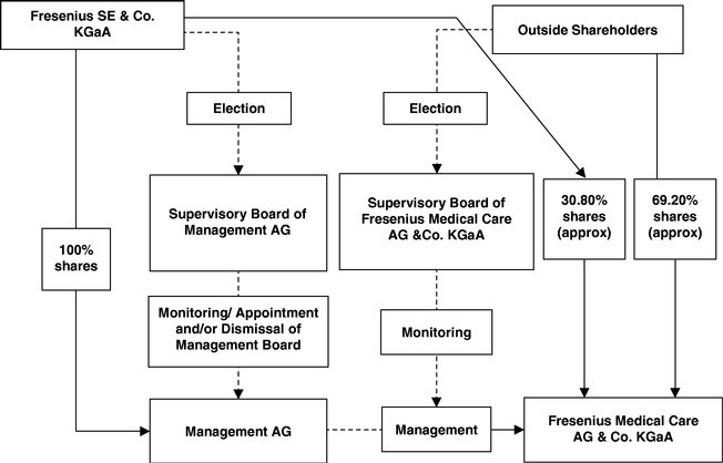 Fresenius Medical Care Organizational Chart