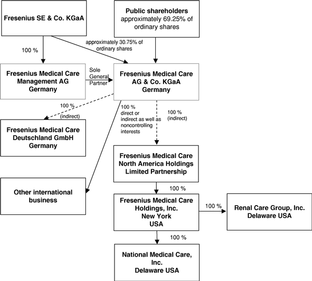 Fresenius Medical Care Organizational Chart