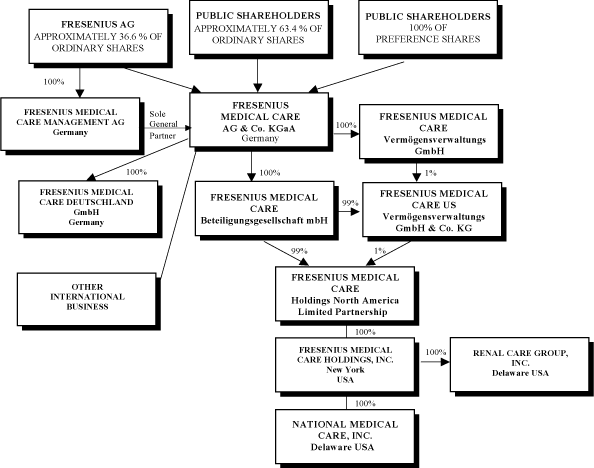 Fresenius Medical Care Organizational Chart