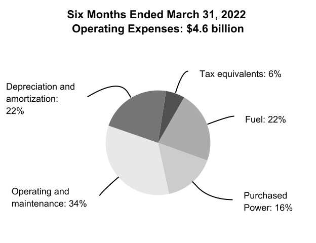 https://www.sec.gov/Archives/edgar/data/1376986/000137698622000011/tve-20220331_g10.jpg