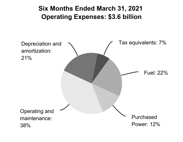 https://www.sec.gov/Archives/edgar/data/1376986/000137698622000011/tve-20220331_g11.jpg