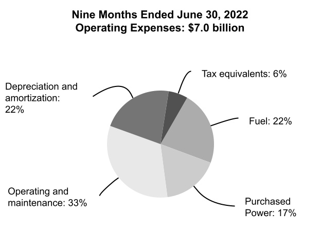 https://www.sec.gov/Archives/edgar/data/1376986/000137698622000014/tve-20220630_g10.jpg