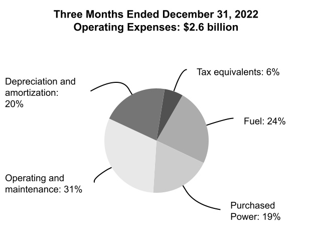 https://www.sec.gov/Archives/edgar/data/1376986/000137698623000007/tve-20221231_g6.jpg