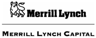 (Merrill Lynch)
