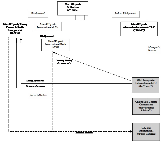 Merrill Lynch Organizational Chart