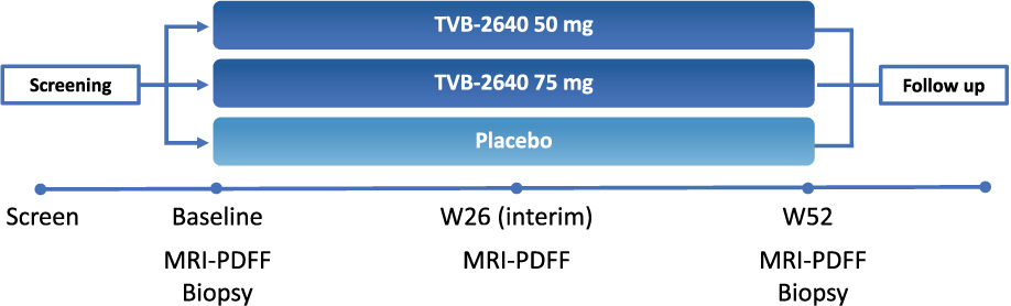 [MISSING IMAGE: tm218447d1-bc_fascin4c.jpg]