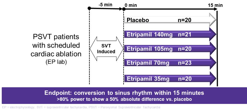 A screenshot of a computer

Description automatically generated with medium confidence