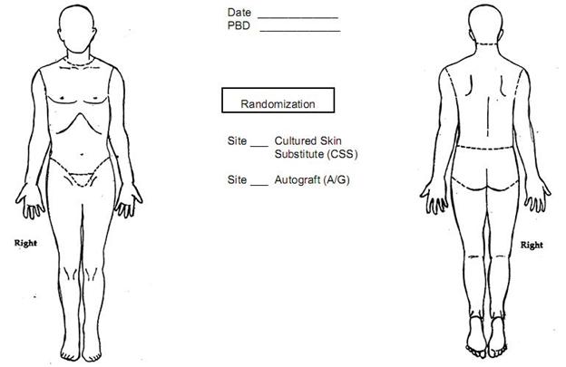 Wound Chart Template