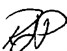 CEO Signature.jpg