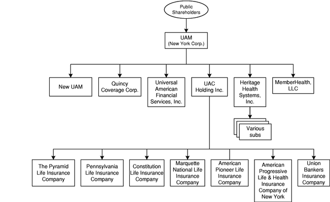 Centene Org Chart