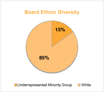 [MISSING IMAGE: tm223624d2-pc_ethnicpn.jpg]