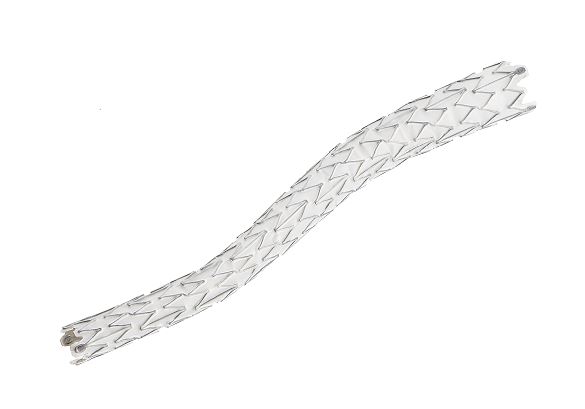 LF Stent 1 JPEG.jpg