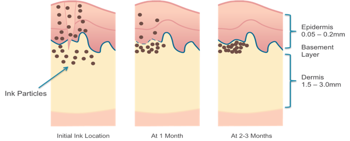 understandingtattooesa04.jpg