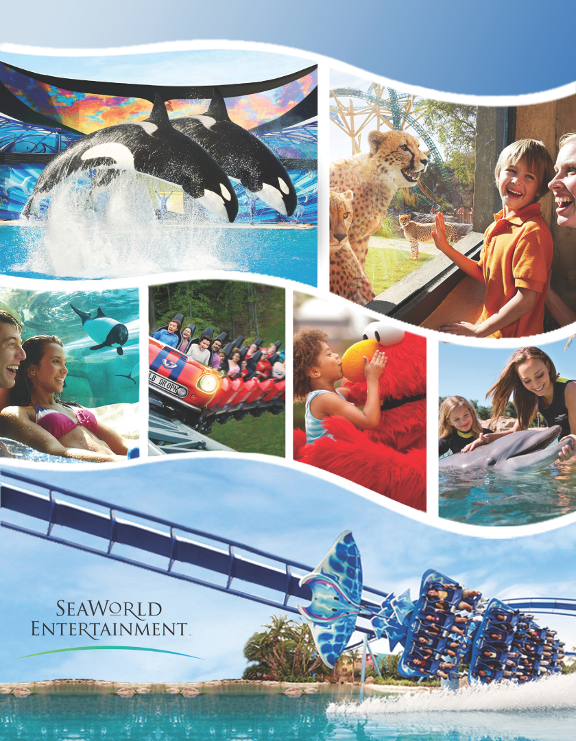SeaWorld Electric Eel Coaster Temporarily Closed; Injury Reported to OSHA Weeks Ago – NBC 7 San Diego
